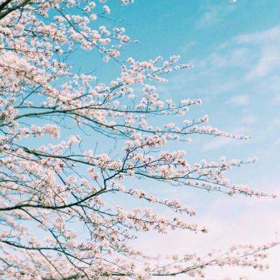 AG大厅网址下载手机版